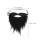 2 Baard En Halloween Volwassenen 3