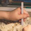10 Stuks Kinderen Opgraving Tools: Mini Kit Voor Graven 6