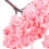 30St Plastic Model Roze Voor Miniatuur Landschap 8