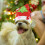5Stk Diy Cartoon Weihnachtsmütze Bastelmaterial Set 10