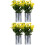 4 Unidades Mini Bonsái Decoración En Maceta 7