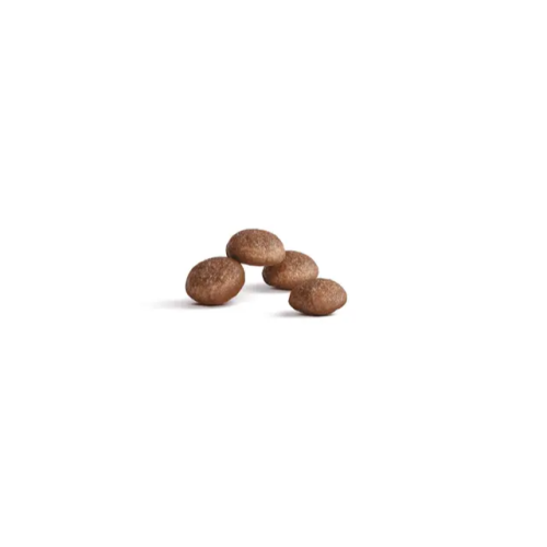 Royal Canin ROYAL CANIN Tørfoder til katte FHN Aging 11+ Steriliseret 4 kg 1