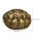 4 Ensembles De Pièces De Divination Carapace De Tortue 3