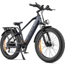 ENGWE E26 Electric Bike 48V16AH 250W 100km-Black