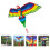 1Set Cerf-Volant Perroquet À Longue Queue Pour Enfants Corde 4