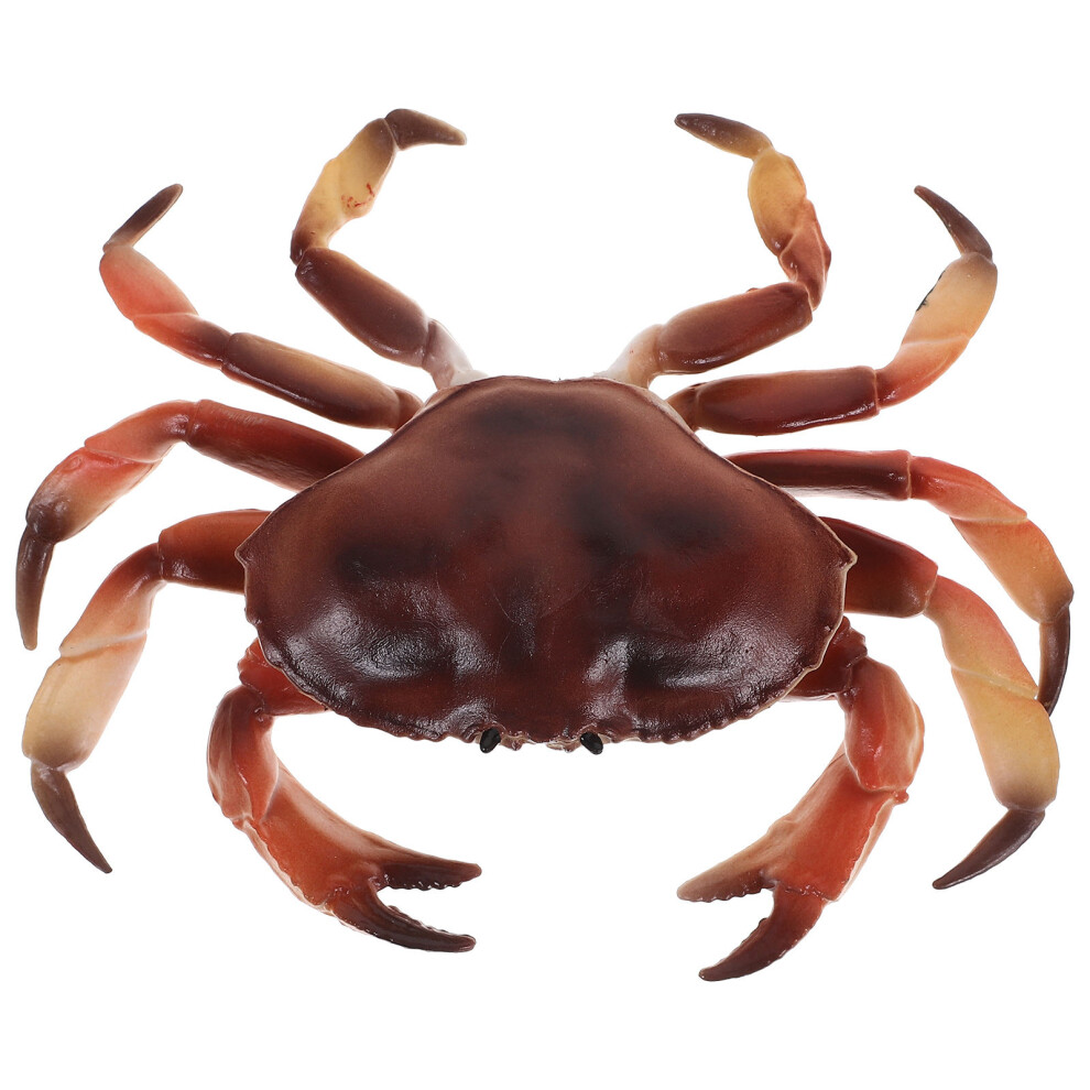 Photos - Creativity Set / Science Kit 5Pcs Realistic Plastic Crab Model Educational Animal Simulation