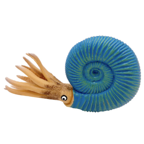 De Nautilus Animal Marin Simulé Décor Table Jouet 1