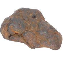 Meteorolite Model Specimen For Classroom Teaching And Decoration