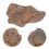 Meteorolite Model Specimen For Classroom Teaching And Decoration 5