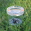 16Pcs Plastic Insect Observe Boxes Portable Bug Cages For Kids 11