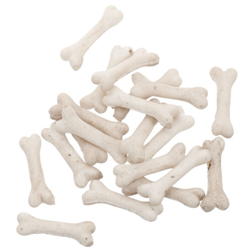 40 Pcs Resin Mini Skeleton Bones For Crafts Decor Halloween 2