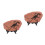 2 Pcs Simulation Dinosaur Desktop Ornament Decor 4