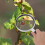 1Pc Handheld Non Skid Magnifying Glass Insect Observer Black White 11