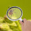1Pc Handheld Non Skid Magnifying Glass Insect Observer Black White 10