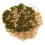 Set Polvere Per Miniature Delle Fate 10