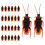 100Pcs Realistic Fake Plastic Cockroach Bugs 11