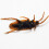 100Pcs Realistic Fake Plastic Cockroach Bugs 8
