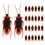 100Pcs Realistic Fake Plastic Cockroach Bugs 9