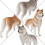 2 Decorazione Da Tavolo A Forma Cane Husky 10