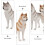2 Decorazione Da Tavolo A Forma Cane Husky 11