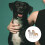 2 Decorazione Da Tavolo A Forma Cane Husky 7