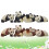 8 Pezzi Panda Da Te Accovacciato Decorativo 9