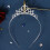 Rhinestone Haarband Bruiloft Bruid 9