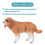 Figurinha De Cachorro Recurso Infantil 7