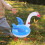 Brinquedo De Rã Montessori Educativo Para Crianças E 5