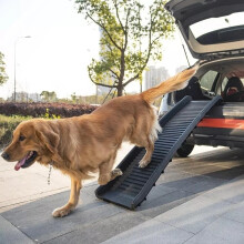 Folding Dog Car Ramp, Safe Mobility, 75KG