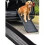 Folding Dog Car Ramp, Safe Mobility, 75KG 7