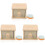 3Pcs Brinquedo Moedas Habilidades Educativo 2