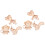 6 Unidades Kit -Cabeça Animal 3D Educativos 5