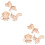 6 Unidades Kit -Cabeça Animal 3D Educativos 7