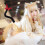 Cute Cat Maid Cosplay Taille Für Party 3