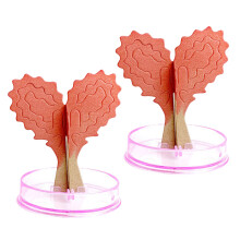 2 Sets Kristallwachstums Garten Herzförmiger DIY Paardekoration