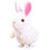 Bunny Aufzieh Spielzeug Plüsch Springend Für Kinder 3