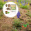 1 Set Mini Landschapsdecor Tuinmodel Boerderijgereedschap 4