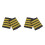 2 Paar Airline Pilot Epauletten Captain Uniform Schouderboard 4