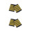 2 Paar Airline Pilot Epauletten Captain Uniform Schouderboard 8