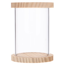 Clear Acryl Displaycase Met Voor Verzamelobjecten En Figurines