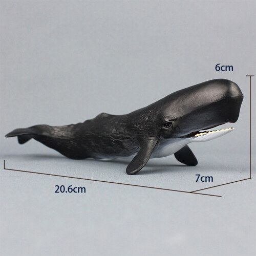 High Simulation Tiermodell Meerestier Für Kinder 1