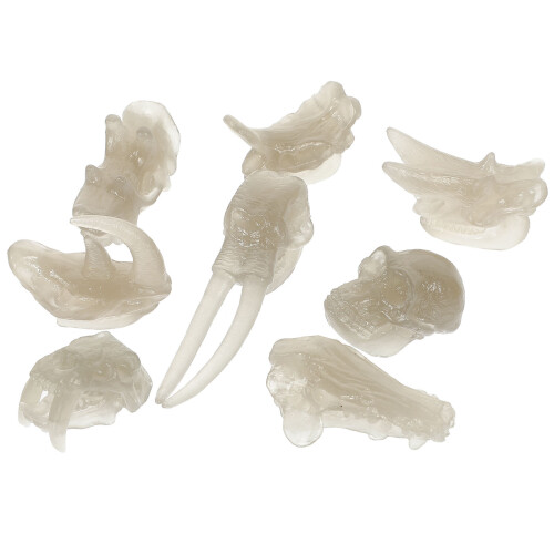 3Sets Kinder Dinosaurier Knochen Spielzeug Leuchtend PVC Deko