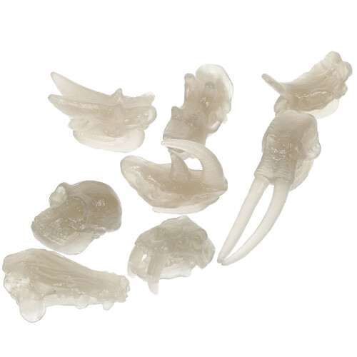 3Sets Kinder Dinosaurier Knochen Spielzeug Leuchtend PVC Deko 1