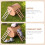 10 Unidades Decoración Madera Para Micro-Paisaje 4