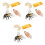 3 Sets 4Pcs Simulation Cycle Model Educational Toy For Kids 3
