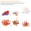 Ensemble Cycle De Vie Décoration Éducative Jouet Pédagogique 8