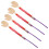 20 Pcs Anatomy Model Body Parts Study Tools Science Kit Muscle Display 1