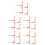 20 Pcs Anatomy Model Body Parts Study Tools Science Kit Muscle Display 4