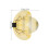 Bee Wing Costume: Per Per Cosplay E 3